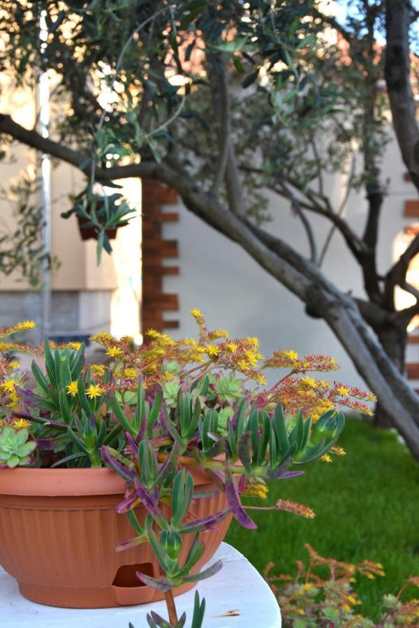 Greenvine Apartment Zadar Luaran gambar