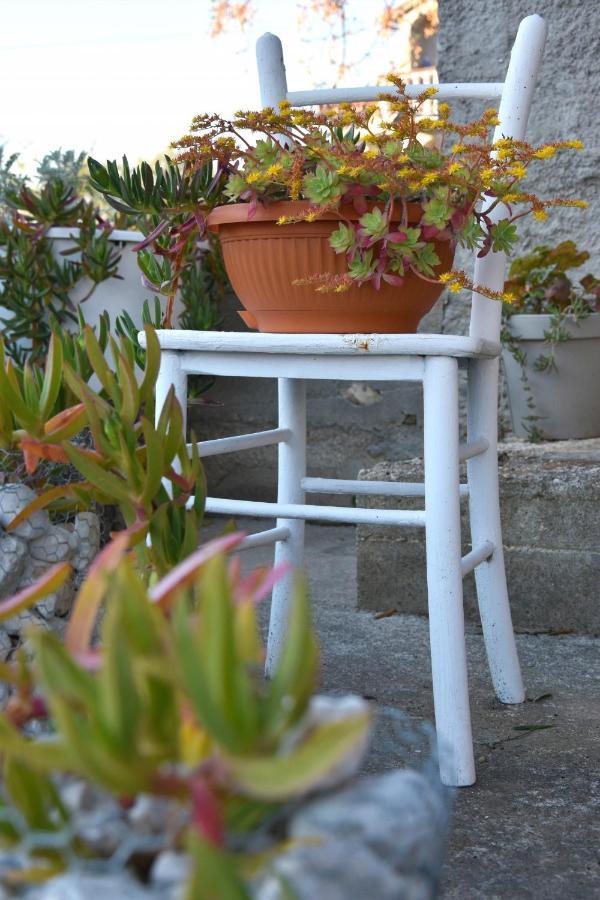 Greenvine Apartment Zadar Luaran gambar