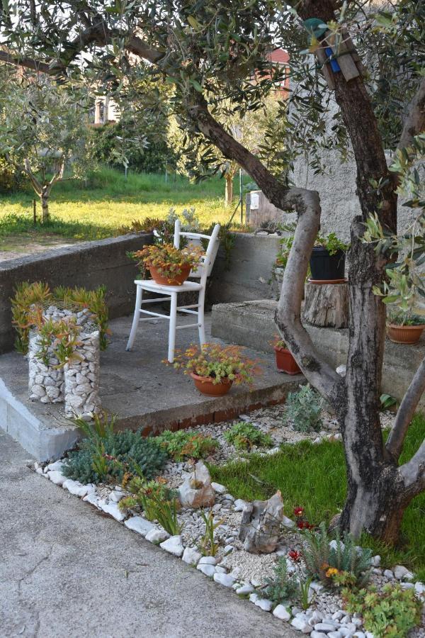 Greenvine Apartment Zadar Luaran gambar