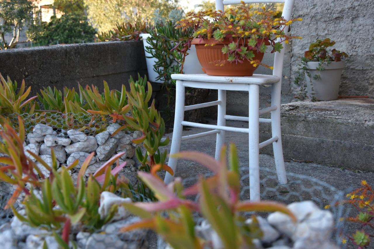 Greenvine Apartment Zadar Luaran gambar
